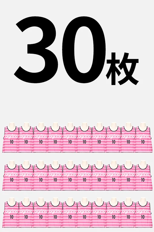 ビブス30枚
