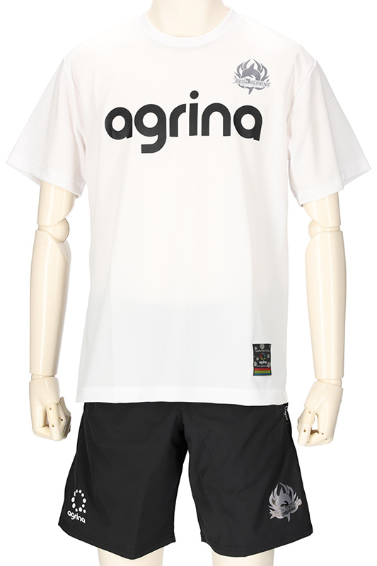 日野レッドドルフィンズ 2024 FP 練習着 半袖Tシャツ