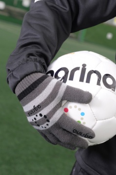 アグリナ / agrina アニシアグローブ