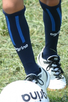 アグリナ / agrina テラーニョスソックス