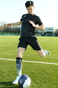 アグリナ / agrina ソリデスボーダソックス